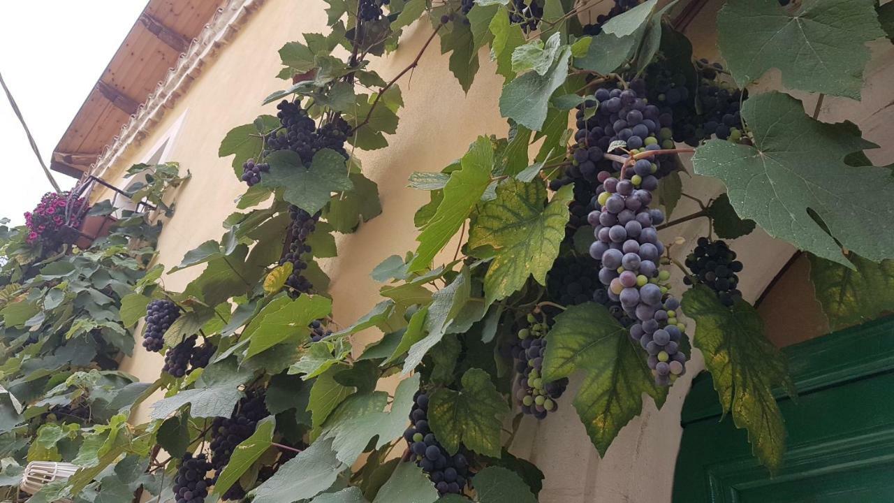 Scaccia Pensieri Villa Cerchio Eksteriør billede